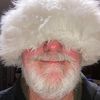 stevecarruth687